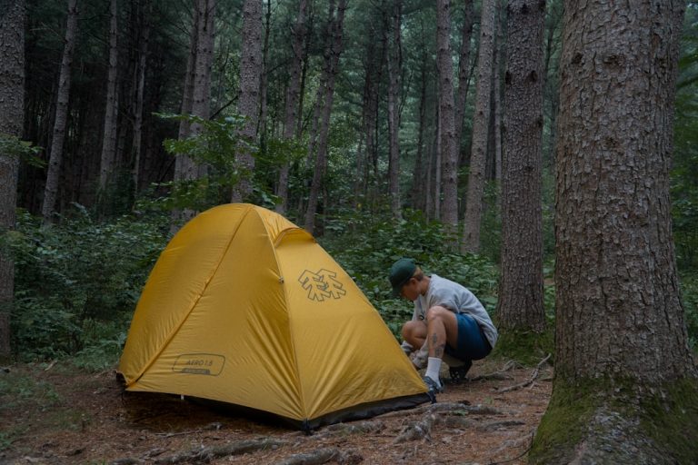 Thrill Seekers’ Paradise: Unleashing the Adventurer Within